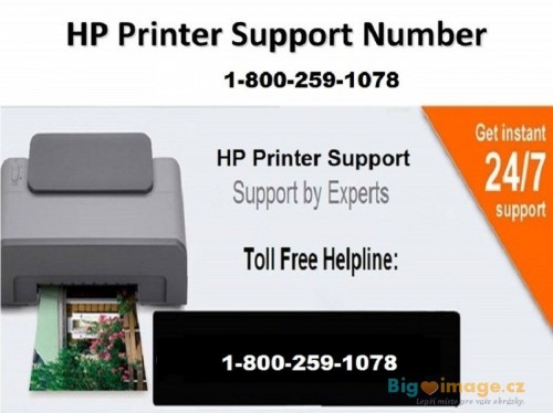 hp printer support