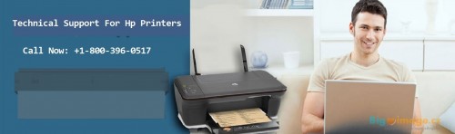 hp printers contact phone number