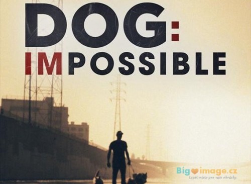 dog impossible