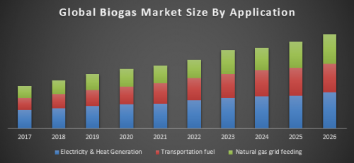 Global Biogas market 1