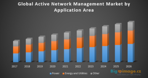 Global Active Network Management Market