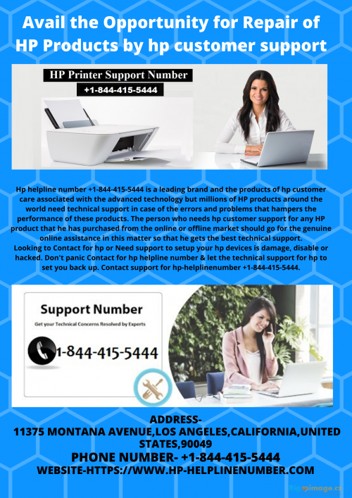 phone number for hp support