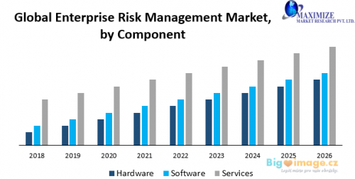 Global Enterprise Risk Management Market