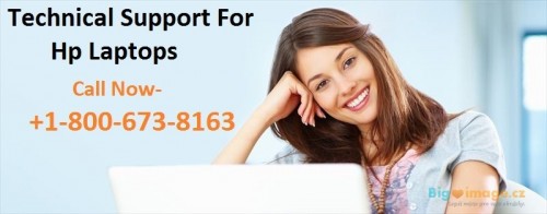 hp desktop support phone number