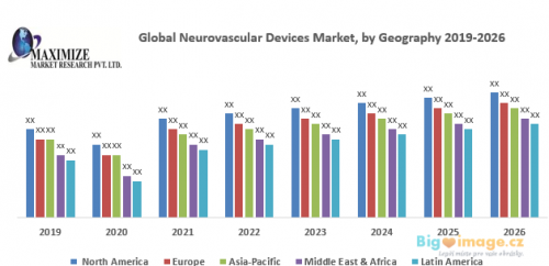 Global Neurovascular Devices Market