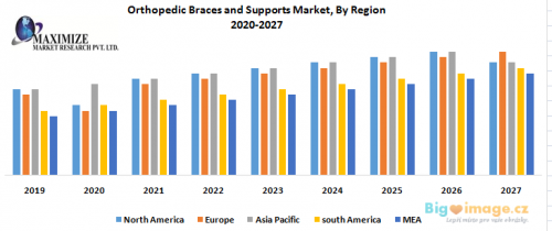 Orthopedic Braces and Supports Market By Region
