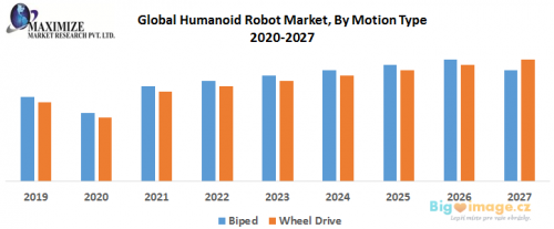 Global Humanoid Robot Market By Motion Type
