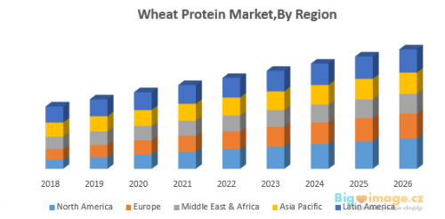 Wheat Protein MarketBy Region