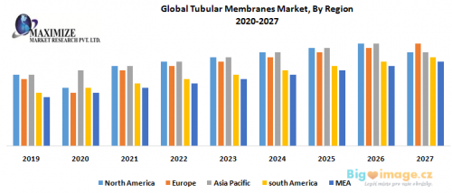 Global Tubular Membranes Market By Region