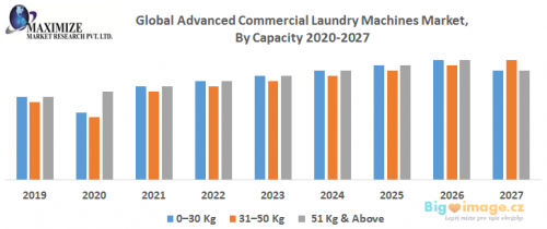 Global Advanced Commercial Laundry Machines Market By Capacity