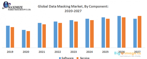 Global Data Masking Market By Component