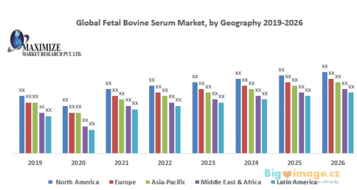 Global Fetal Bovine Serum Market