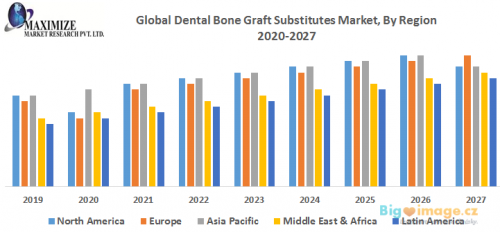 Global Dental Bone Graft Substitutes Market By Region