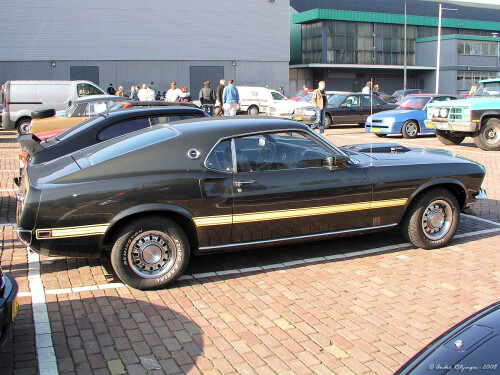 Ford Mustang Mach 1 351 cid 1969 side