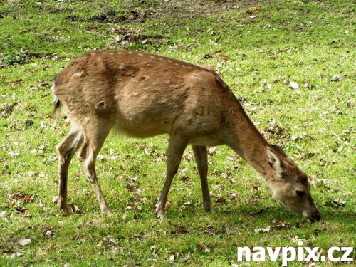 ZOO Olomouc