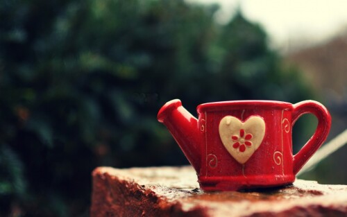 7040709 mug watering can cup heart