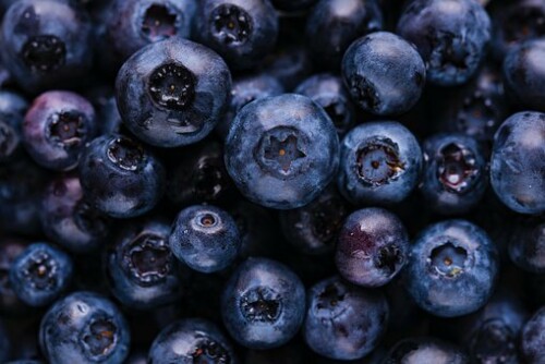 blueberries 5955833 340